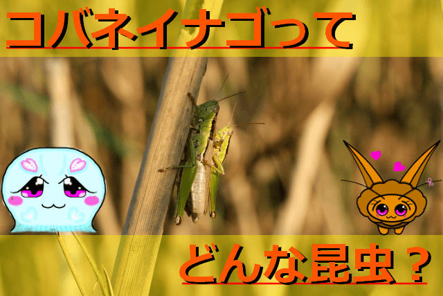 Thumbnail of post image 096